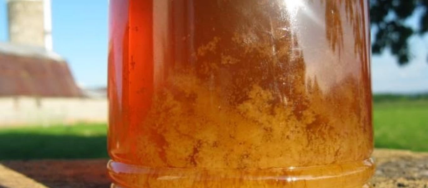 Tι κάνετε αν παγώσει το μέλι;